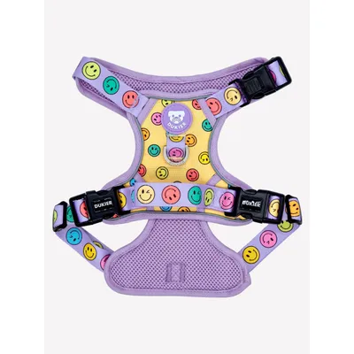 Dukier Harnais Trail  Smiley
