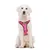 Dukier Harnais Trail  Dogtella pour chien