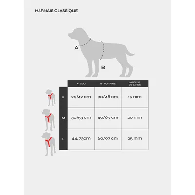 Dukier Harnais Classique Dogtella