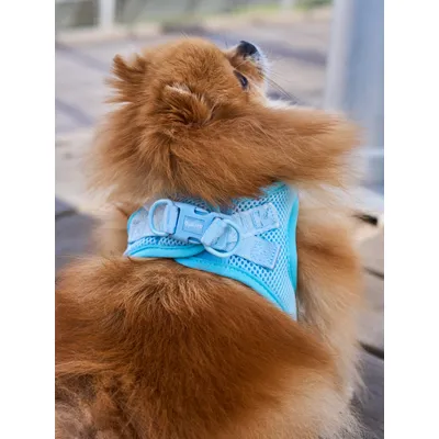 Dukier Harnais Body Soft Blue (Essentials)