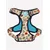 Dukier Harnais Trail  Tattoo Dukier Harnais Trail  Tattoo