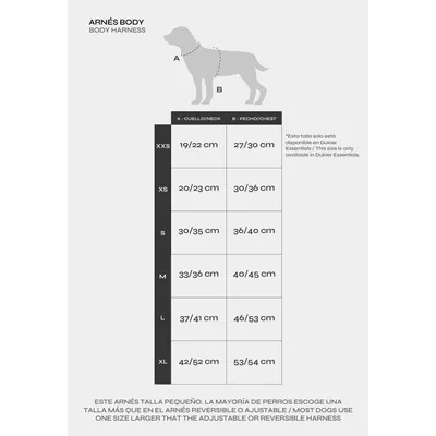 Dukier Harnais Body Beige (Essentials)