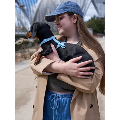 Dukier Harnais Classique Soft Blue (Essentials)