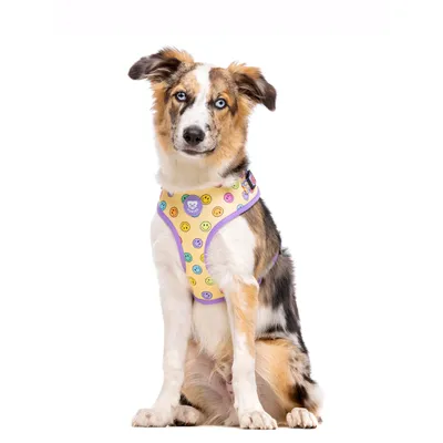 Dukier Harnais Réglable Smiley