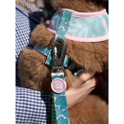 Dukier Harnais Réversible Monstera