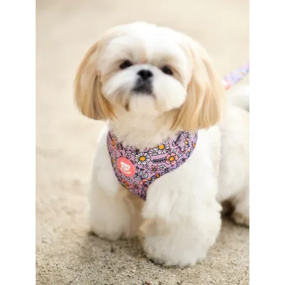 Dukier Harnais Réglable Flower Power