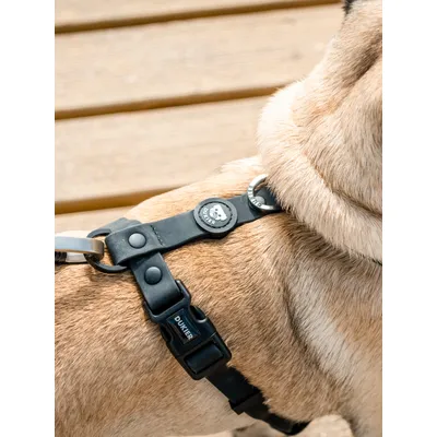 Dukier Harnais Waterproof Black