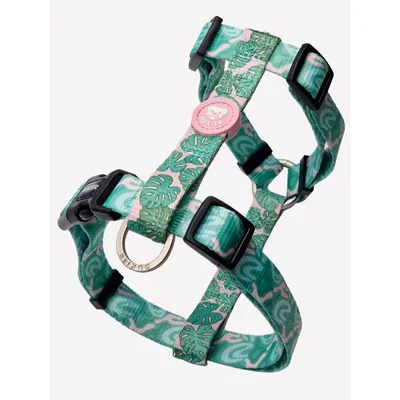 Dukier Harnais Classique Monstera