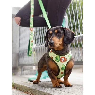 Dukier Harnais Réversible Avocado