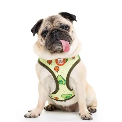 Dukier Harnais Réversible Avocado