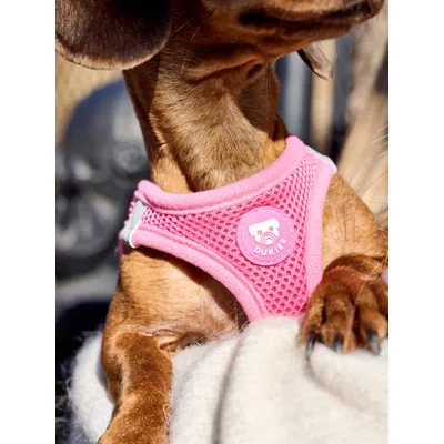 Dukier Harnais Body Pink