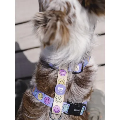 Dukier Harnais Classique Smiley