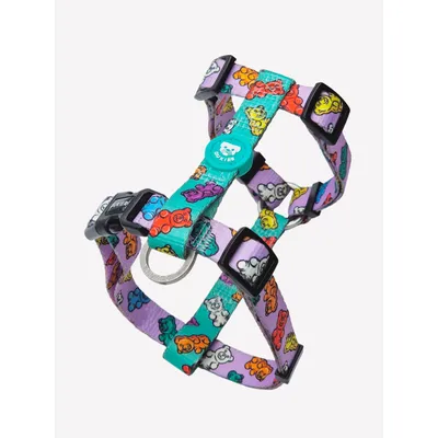 Dukier Harnais Classique Gummy Bears