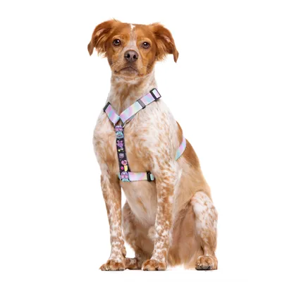 Dukier Harnais Classique Pink Galaxy