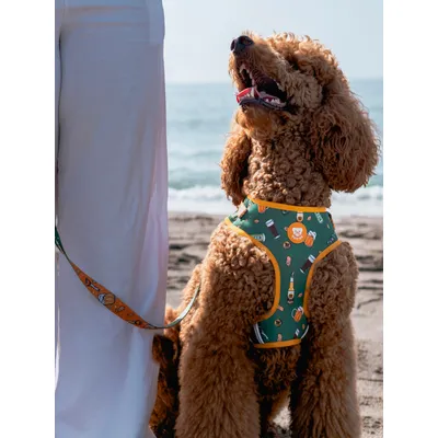 Dukier Harnais Réglable Beer