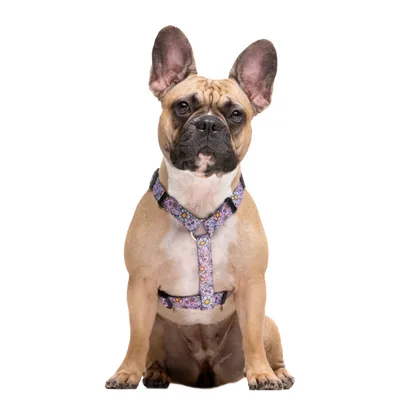 Dukier Harnais Classique Flower Power