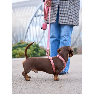 Dukier Harnais Classique Terracota (Essentials)