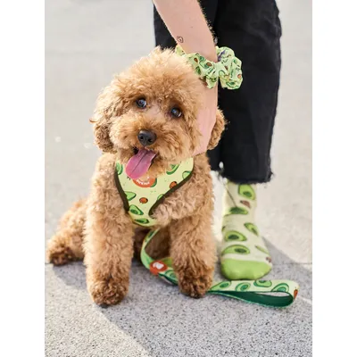 Dukier Harnais Body Avocado