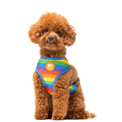 Dukier Harnais Réversible Unicorns