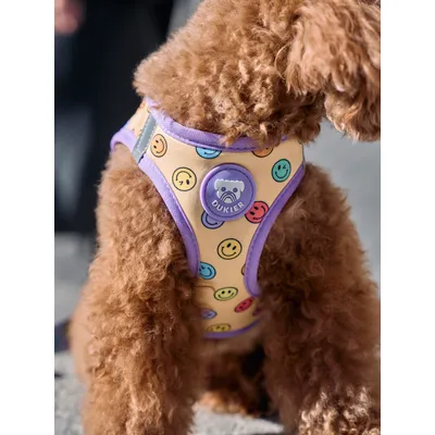 Dukier Harnais Body Smiley