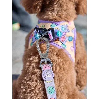 Dukier Harnais Body Smiley