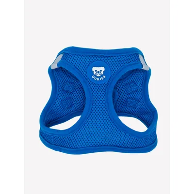 Dukier Harnais Body Blue