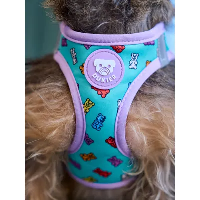 Dukier Harnais Body Gummy Bears