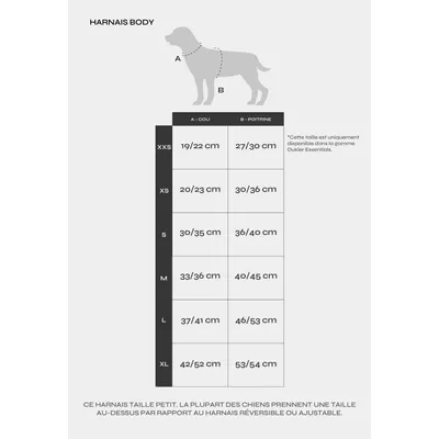 Dukier Harnais Body Berry Love