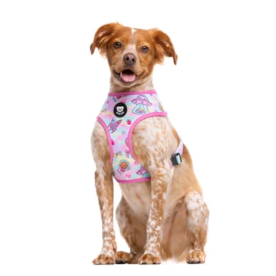 Dukier Harnais Réversible Pink Galaxy