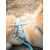Dukier Harnais Waterproof sky blue