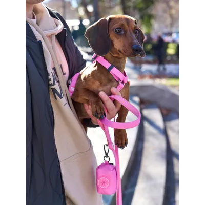Dukier Harnais Classique Pink