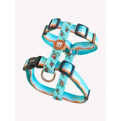 Dukier Harnais Classique Turtle