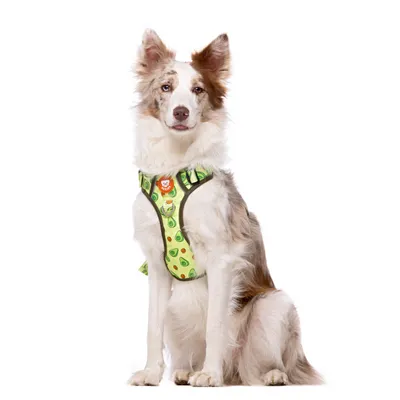 Dukier Harnais Trail  Avocado pour chien