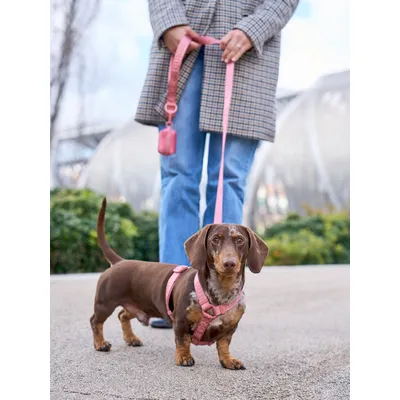 Dukier Harnais Classique Terracota (Essentials)