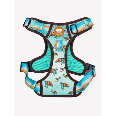 Dukier Harnais Trail  Turtle
