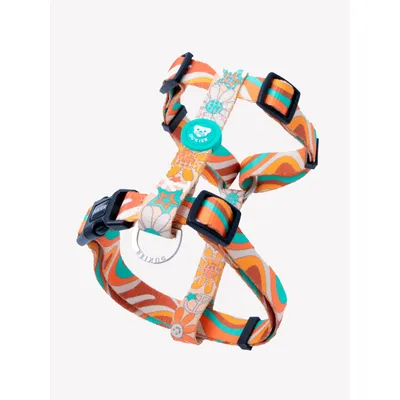 Dukier Harnais Classique Peace