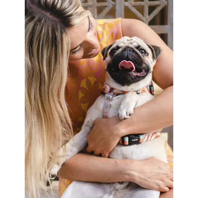 Dukier Harnais Classique Peace