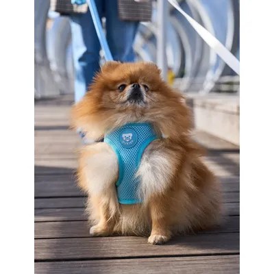 Dukier Harnais Body Soft Blue (Essentials)