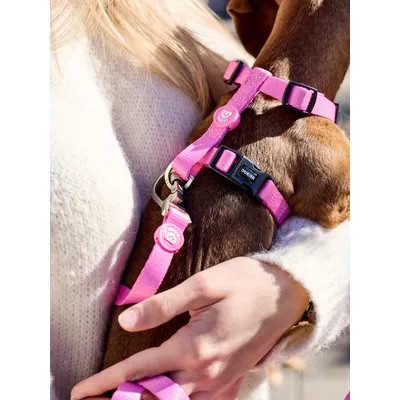 Dukier Harnais Classique Pink