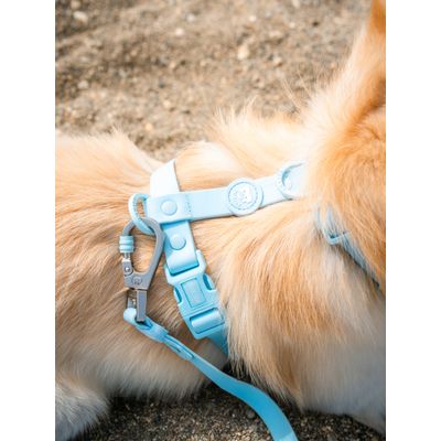 Dukier Harnais Waterproof sky blue