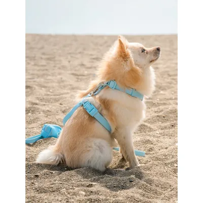 Dukier Harnais Waterproof sky blue