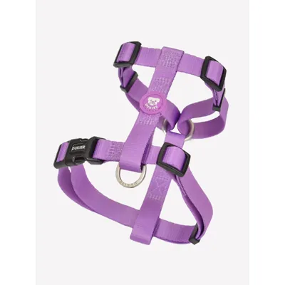 Dukier Harnais Classique Purple