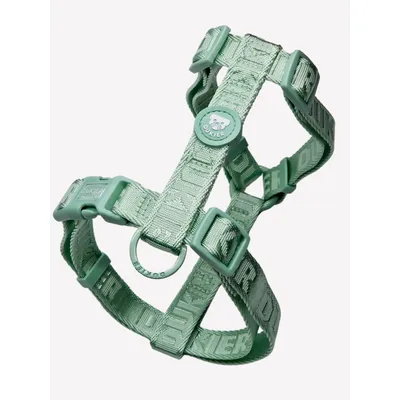 Dukier Harnais Classique Soft Green (essentials)