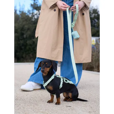 Dukier Harnais Classique Soft Green (essentials)