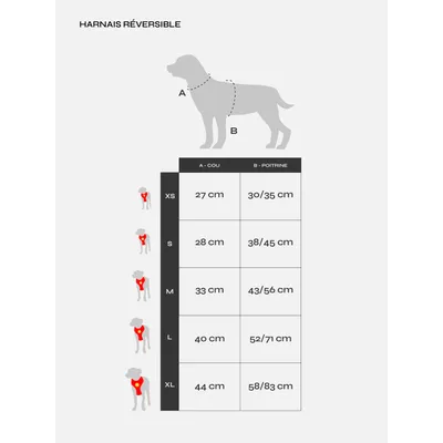 Dukier Harnais Réversible Unicorns