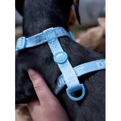 Dukier Harnais Classique Soft Blue (Essentials)