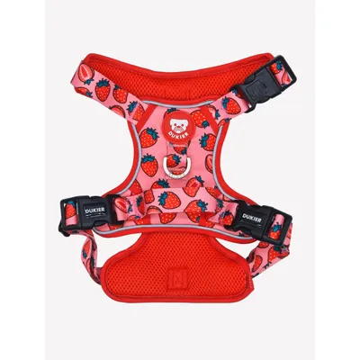 Dukier Harnais Trail  Berry Love pour chien