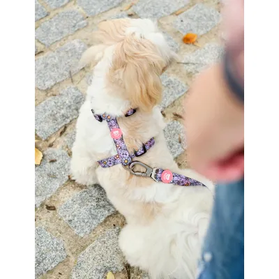 Dukier Harnais Classique Flower Power