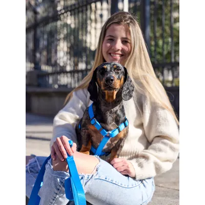 Dukier Harnais Classique Blue