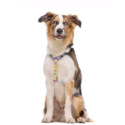 Dukier Harnais Classique Smiley